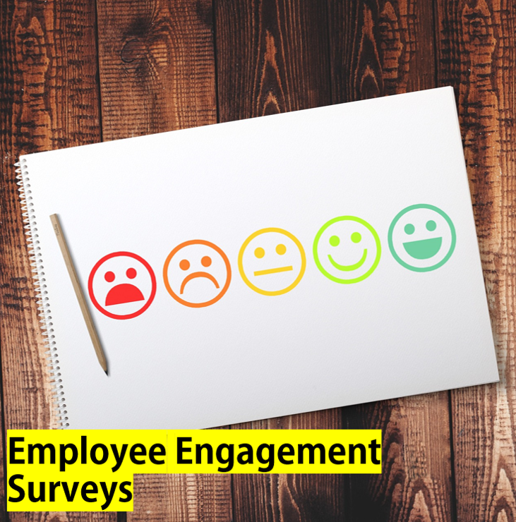 Employee Engagement Surveys